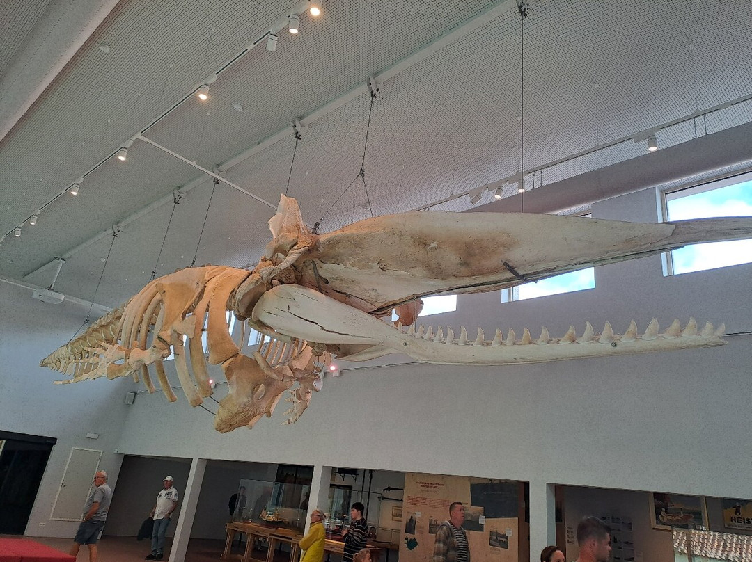 NAVIGO - National Fisheries Museum-东代恩凯尔克必去景点