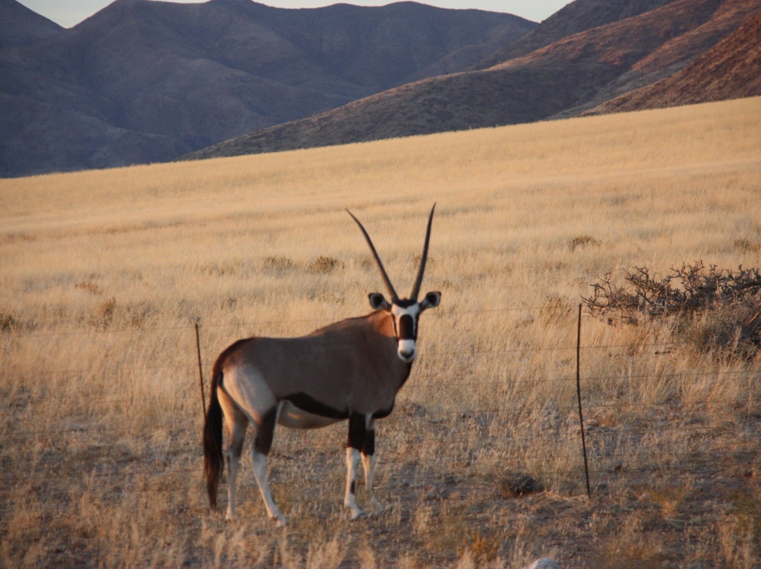 Wild Wind Safaris-温德和克必去景点