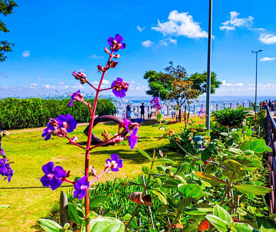 Mirante Mangabeiras-贝洛哈里桑塔必去景点