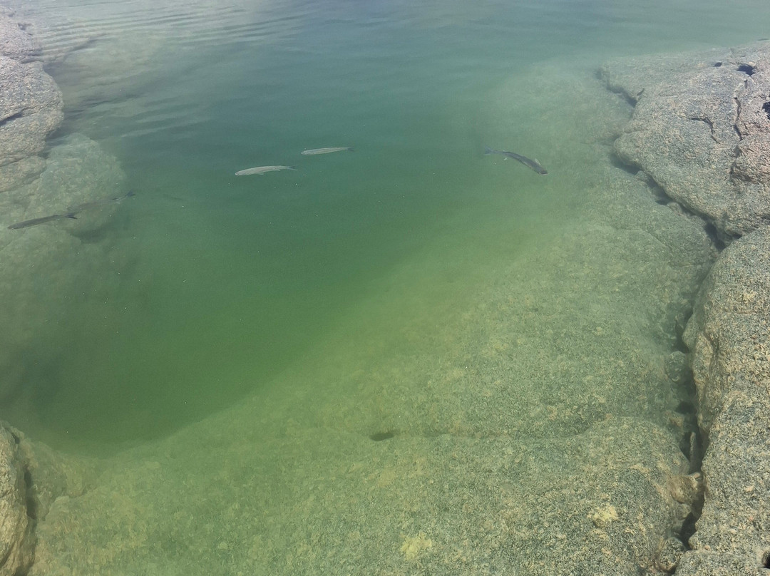 Los Charcones-布兰卡滩必去景点