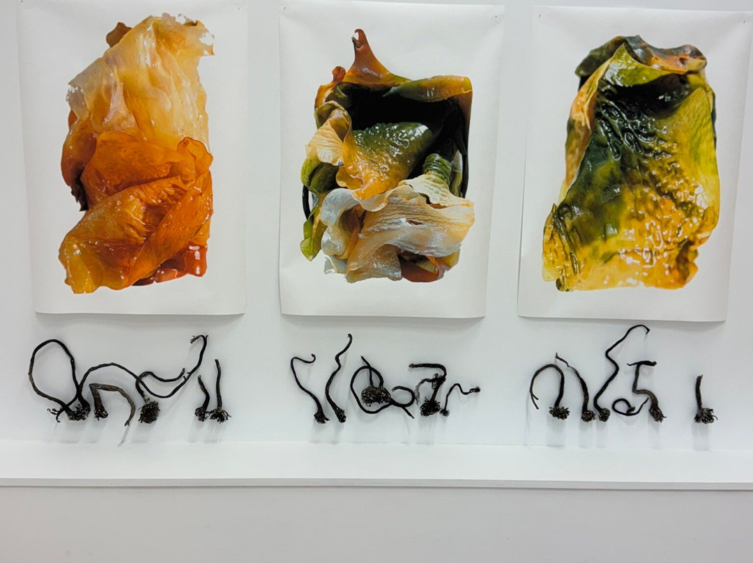 LA Art Museum - Listasafn Árnesinga-Hveragerdi必去景点