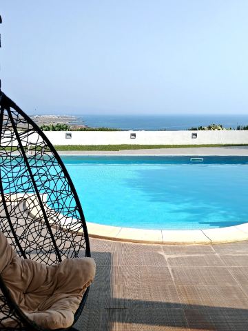 B&B Torrefano-官方