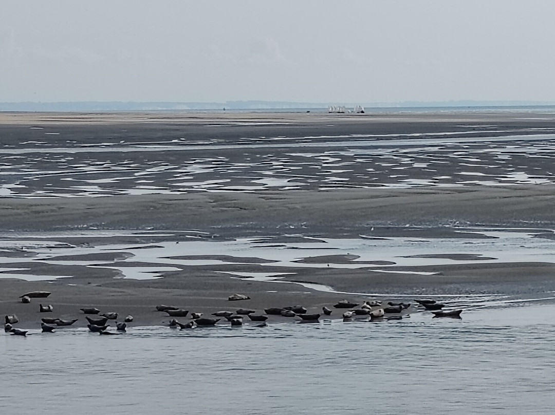 Berck Sur Mer-Berck必去景点