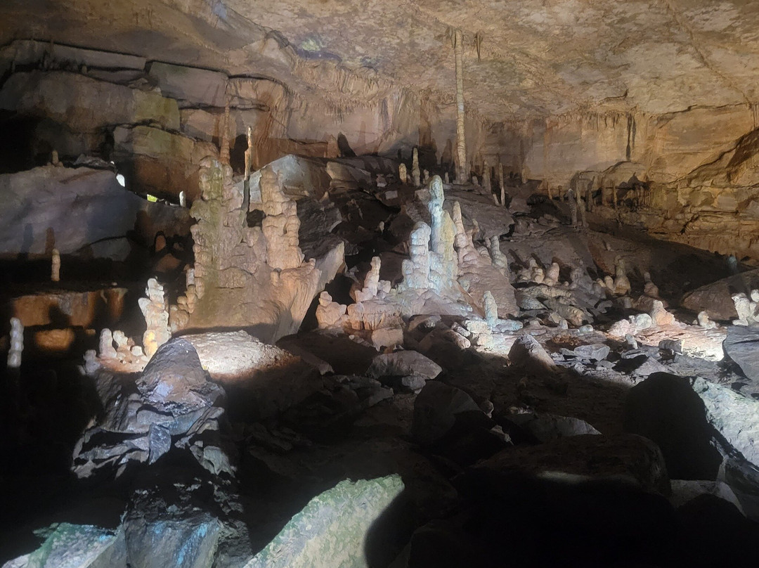 Cathedral Caverns State Park-Woodville必去景点