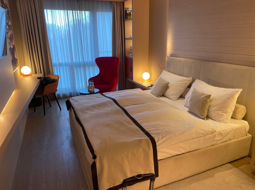 Hôtel Vatel主图