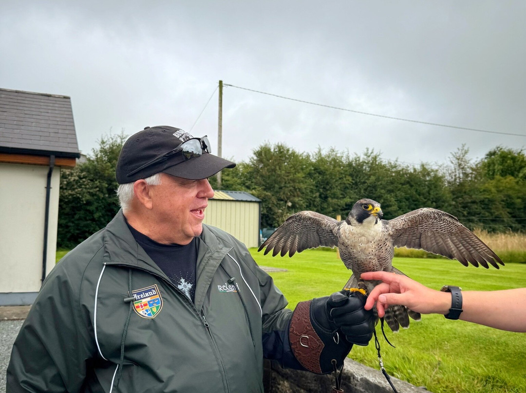 Faha Falconry-Faha必去景点