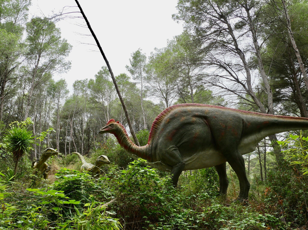 Musee - Parc des Dinosaures-Meze必去景点