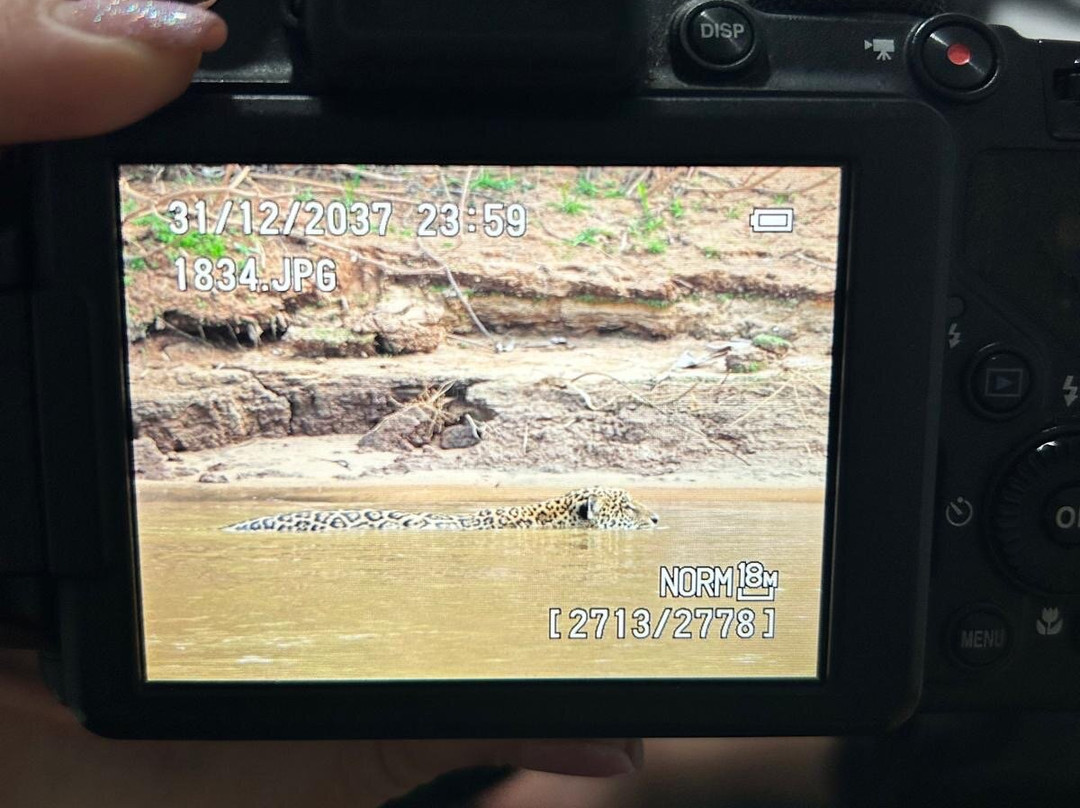 Ecoverde Tours-Cuiaba必去景点