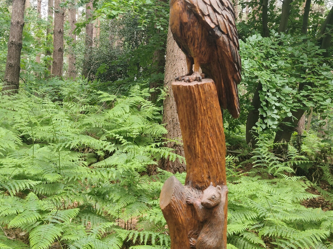 Holt Country Park-诺威奇必去景点