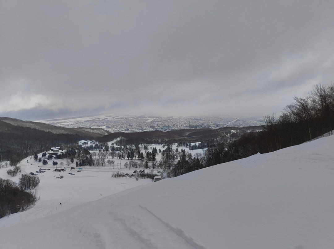 手稻山滑雪场-札幌市必去景点