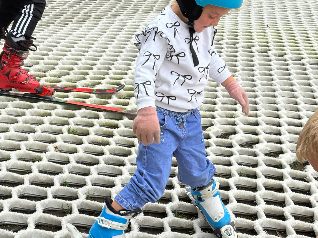 Telford Snowboard and Ski Centre-特尔福德必去景点
