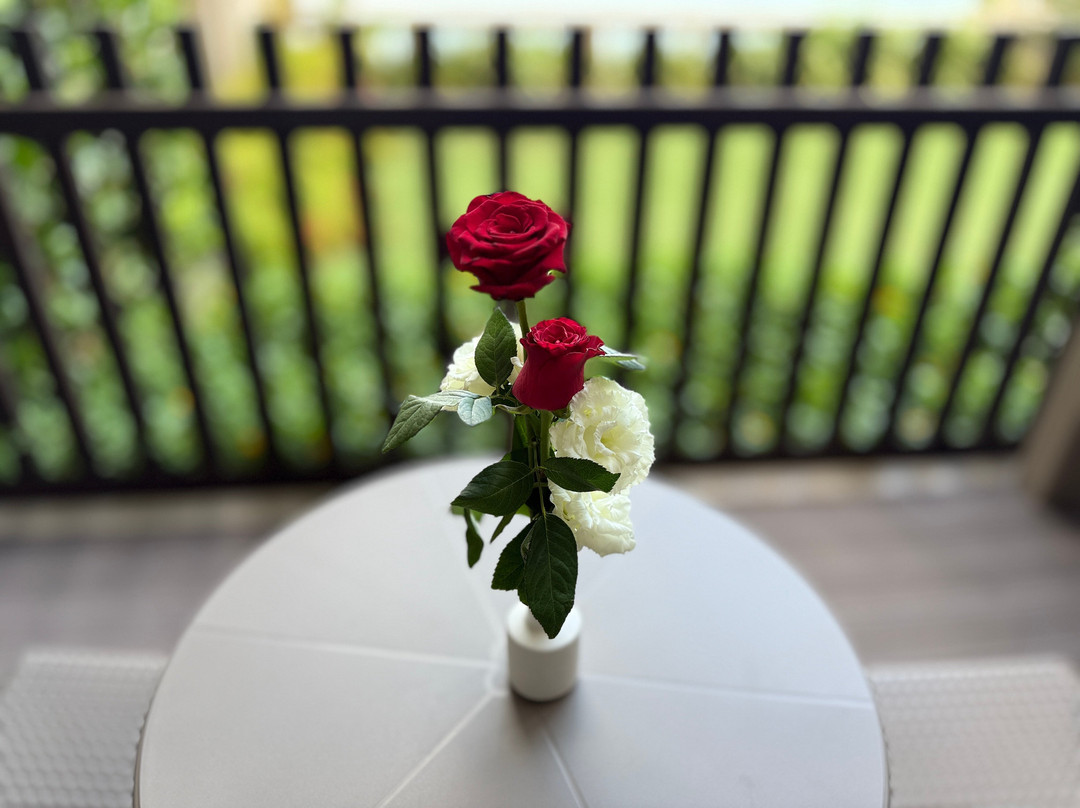 NG Phaselis Bay主图