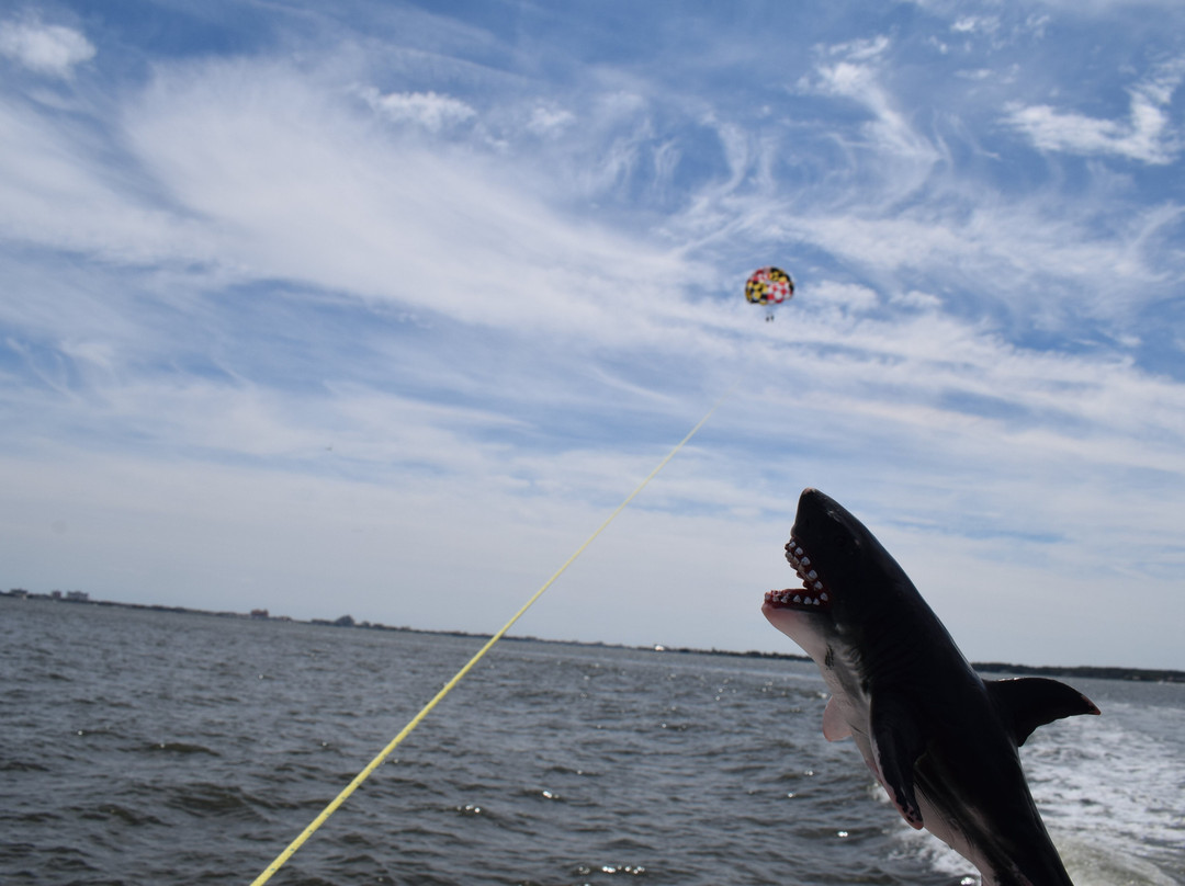 Island Parasail-大洋城必去景点