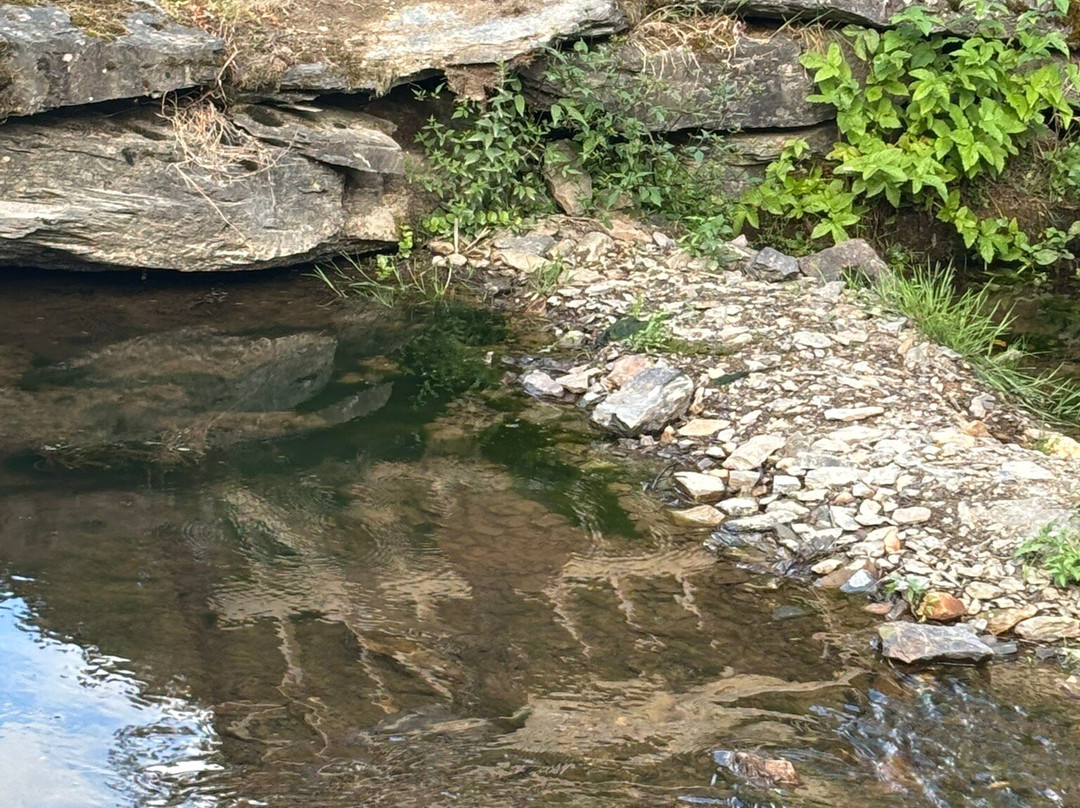 勒莫林西蒙内斯酒店主图