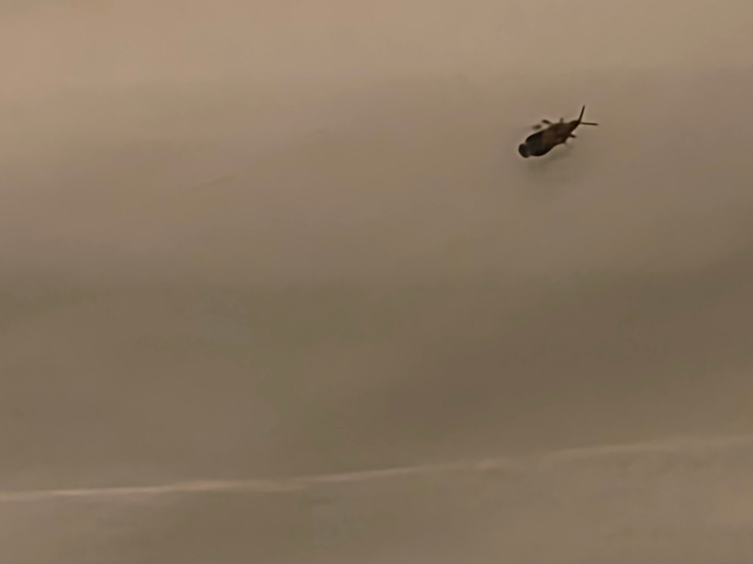 米哈利斯别墅主图