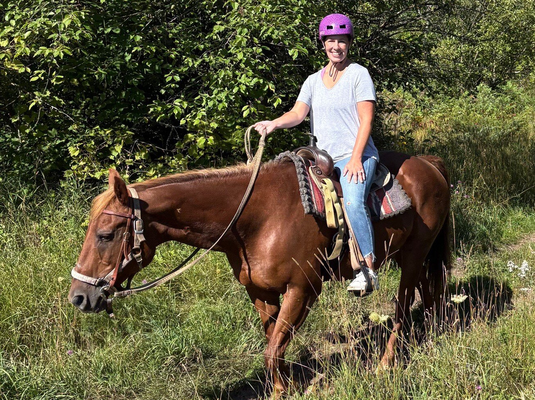 Kurtz Corral-斯特金贝必去景点