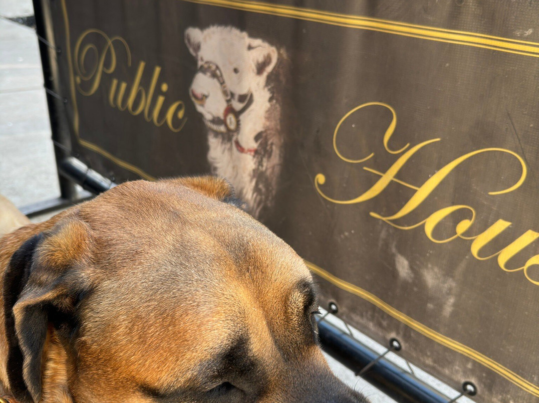 Lititz Springs Park-利蒂茨必去景点