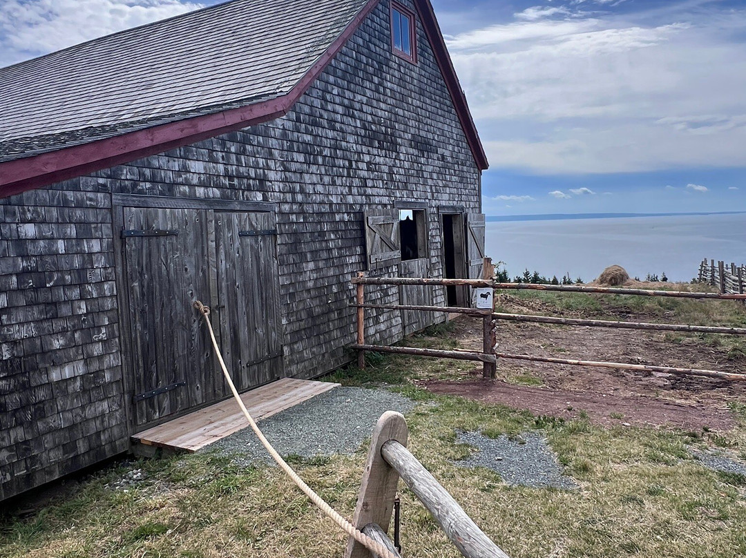 Blackwood Tours-新沃特福德必去景点