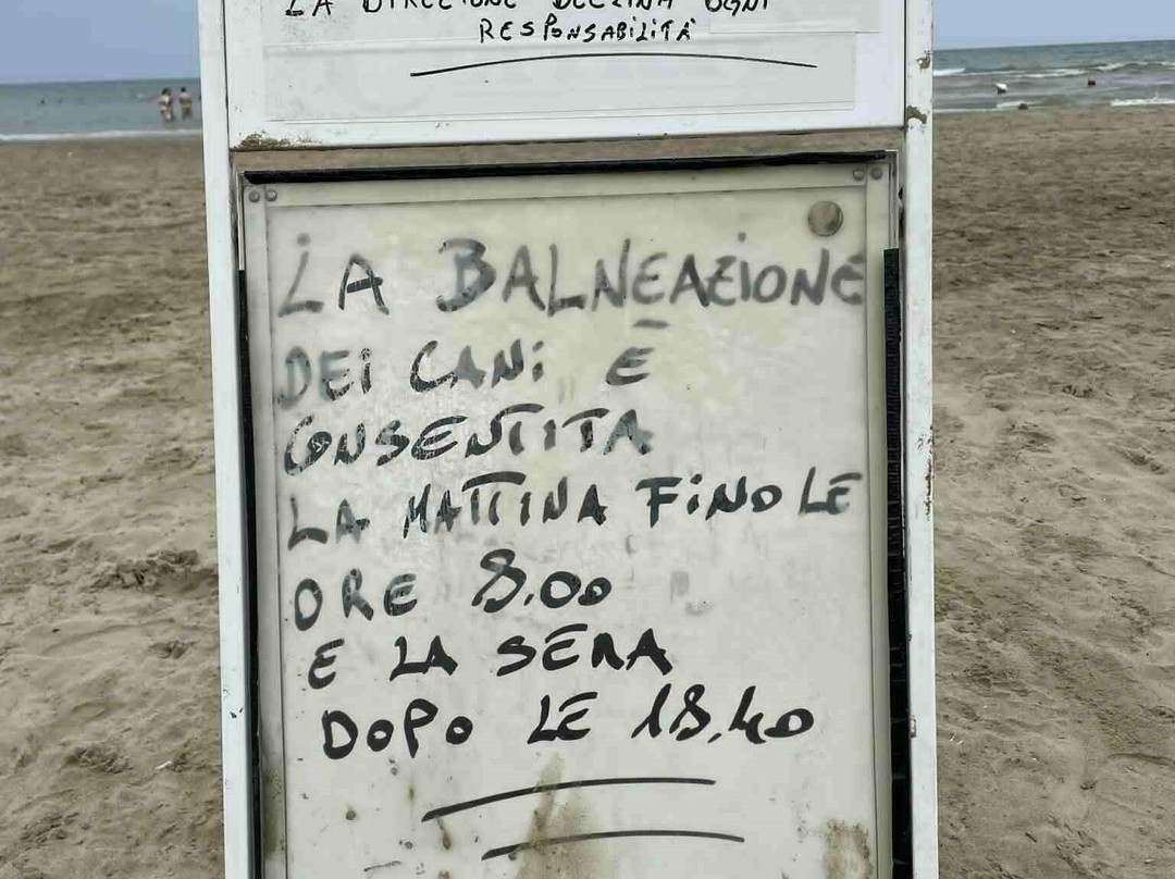 Rimini Dog No Problem - Bagno 81-里米尼必去景点
