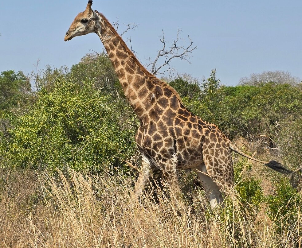 On Safari Africa-雾观必去景点