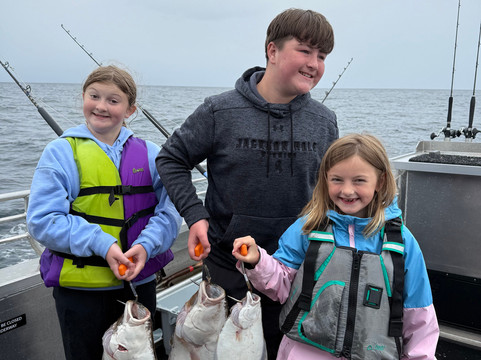 Destination Alaska Charters-荷马必去景点