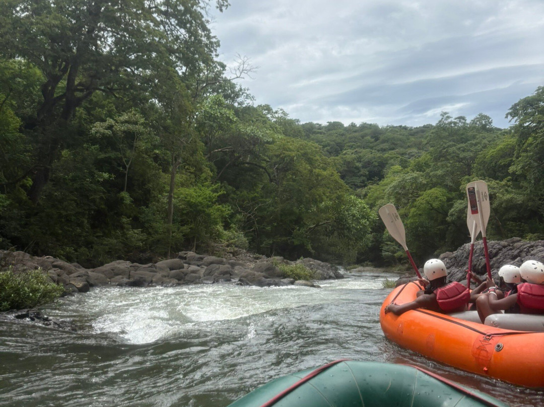 Costa Rica Wet and Wild-波特雷罗必去景点