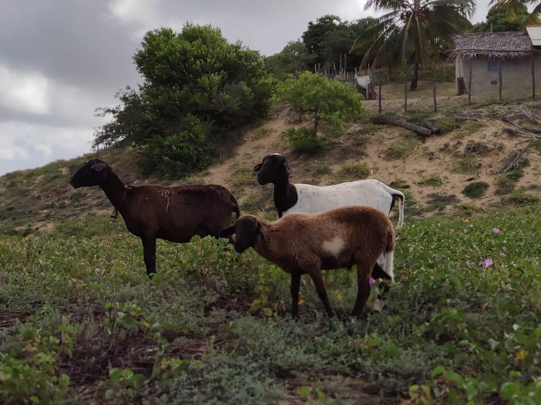 Ricardo Tuor-Piacabucu必去景点
