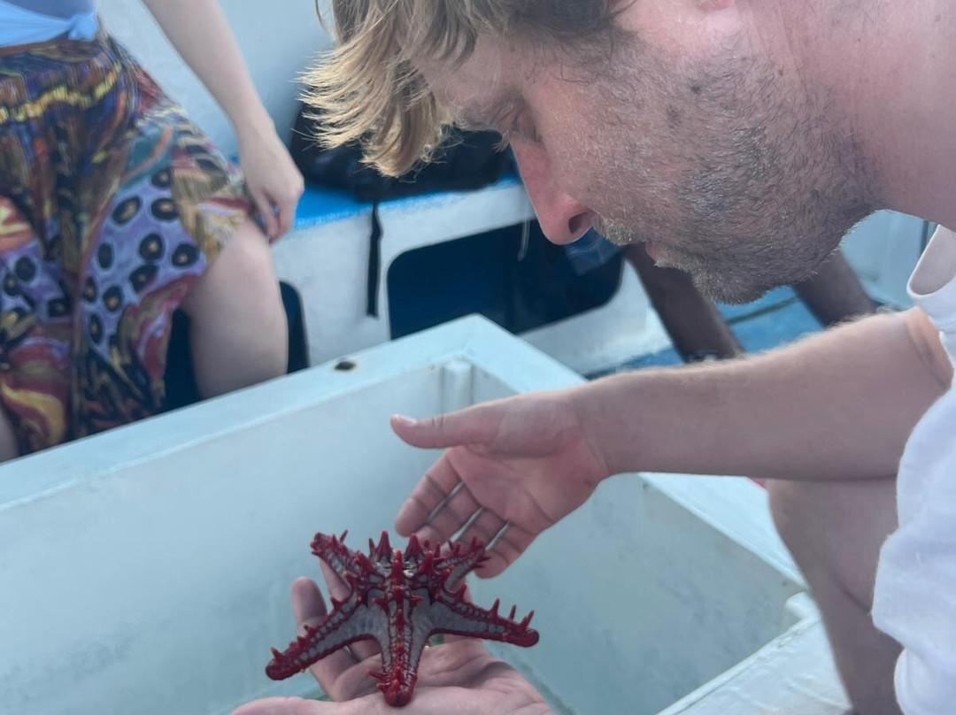 Diani By Day Tours-迪亚尼必去景点