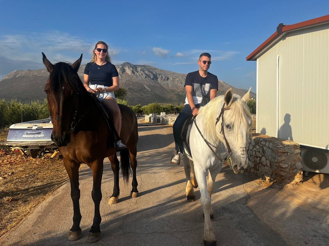 Mani Horses-East Mani必去景点