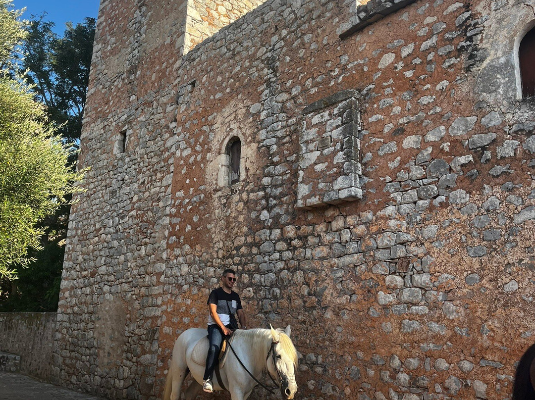 Mani Horses-East Mani必去景点
