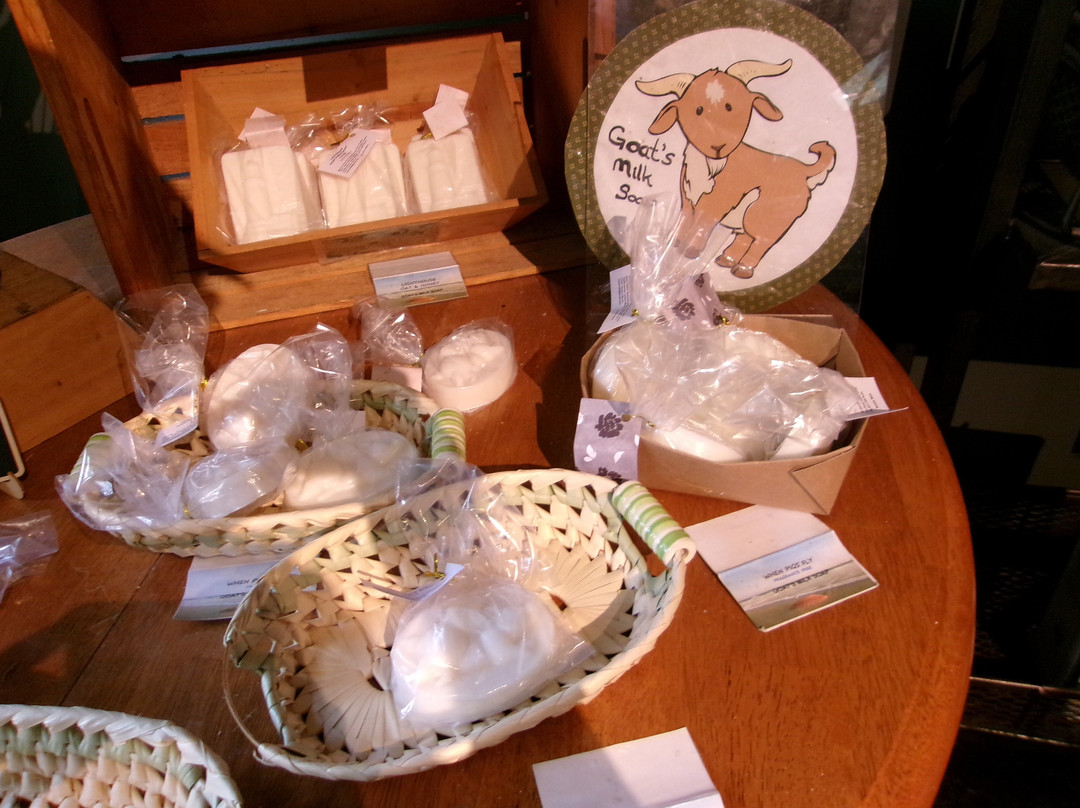 When Pigs Fly Company Store-Kittery必去景点