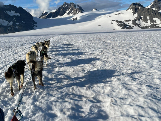 Turning Heads Kennel-苏厄德必去景点
