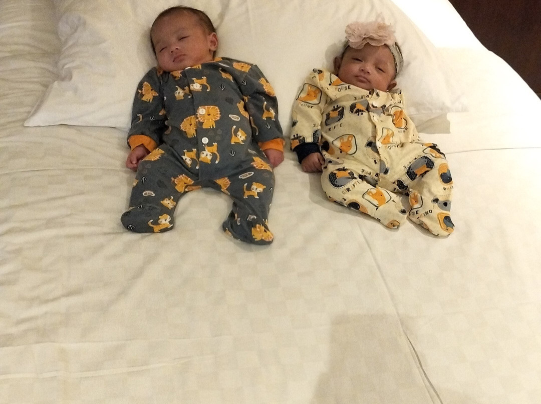 瑞雅婆罗洲马辰酒店主图