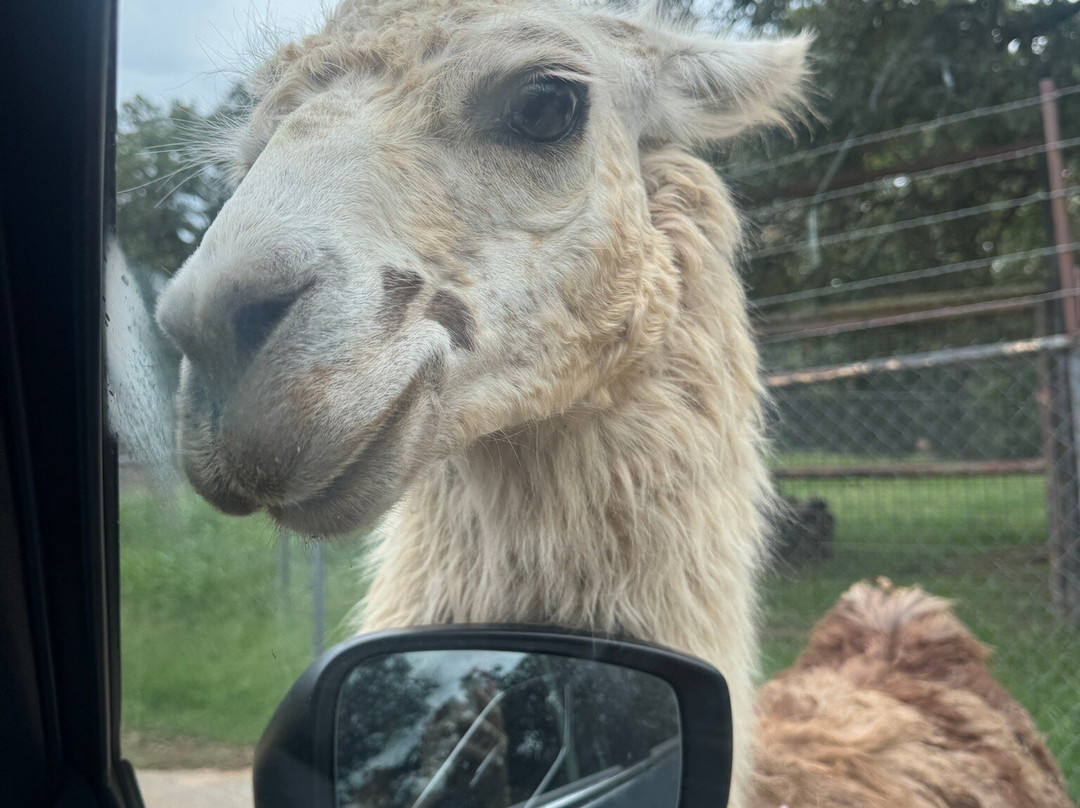 Arbuckle Wilderness-Davis必去景点