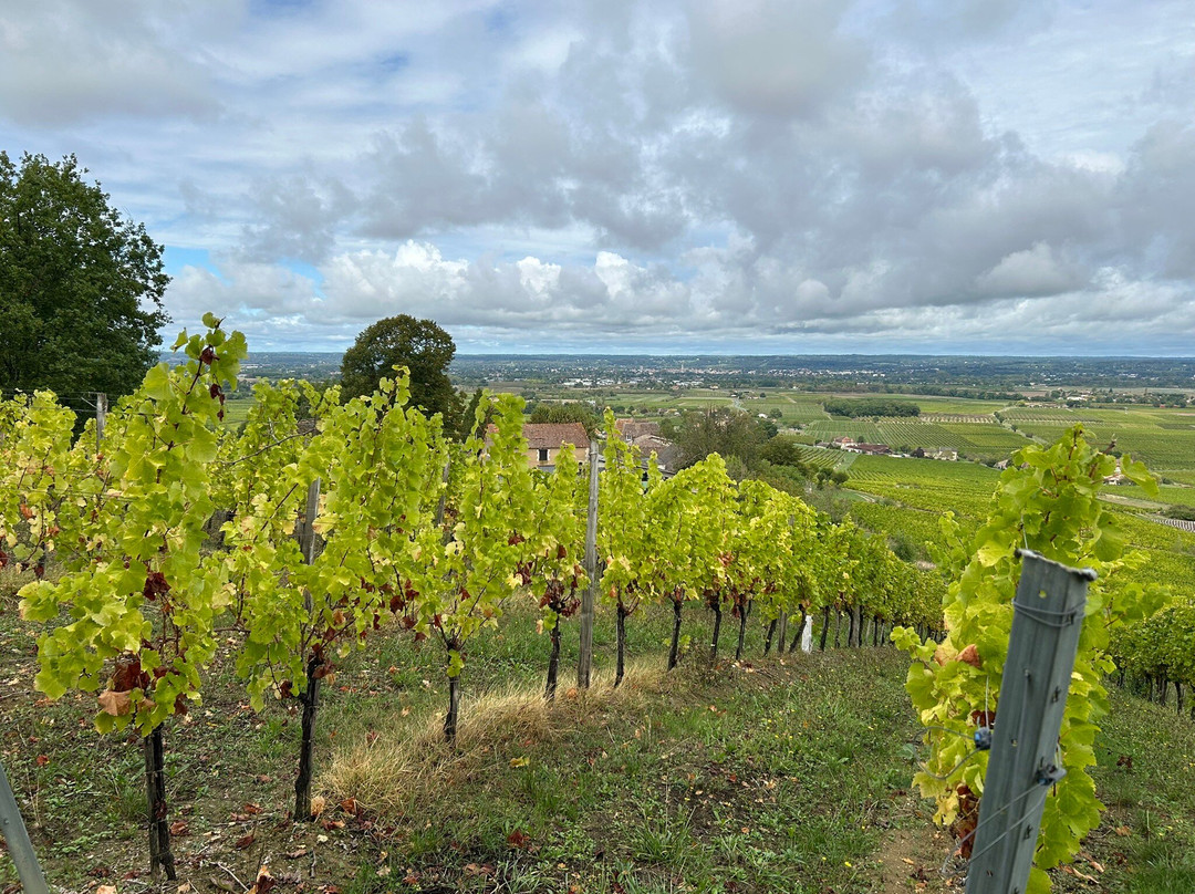 Château de Monbazillac-Monbazillac必去景点