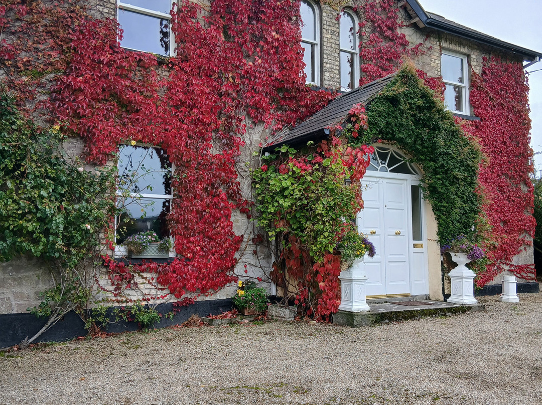 Ardmore Country House主图