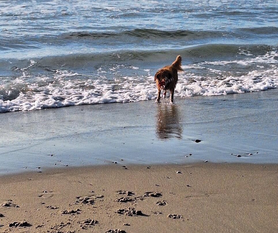 Hotel Restaurant Tesselhof主图