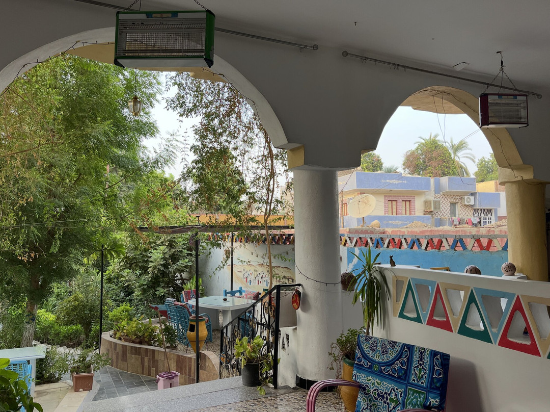 The Mango Guesthouse主图