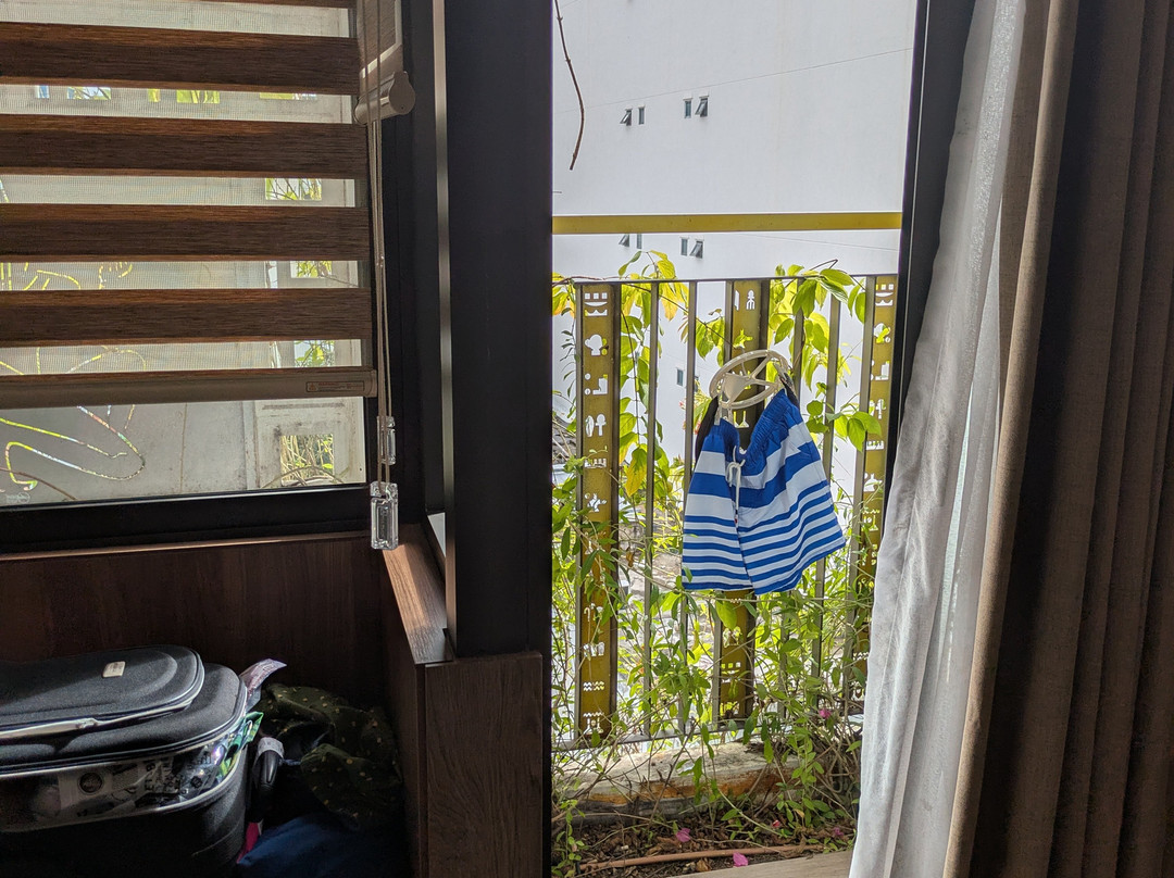 Pharaoh Boutique Hotel Danang主图