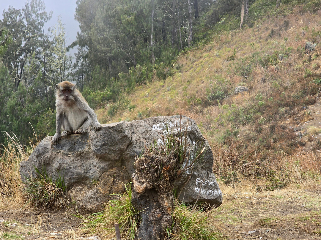 Muji Trekker-Sembalun Lawang必去景点