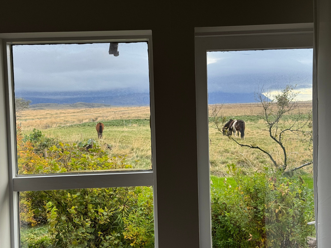 Guesthouse Milli Vina主图