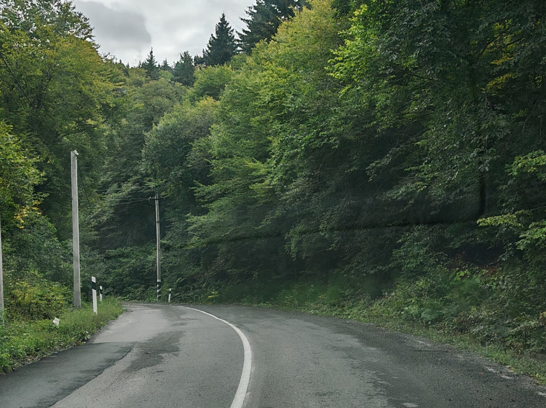 Georgia guide driver-第比利斯必去景点