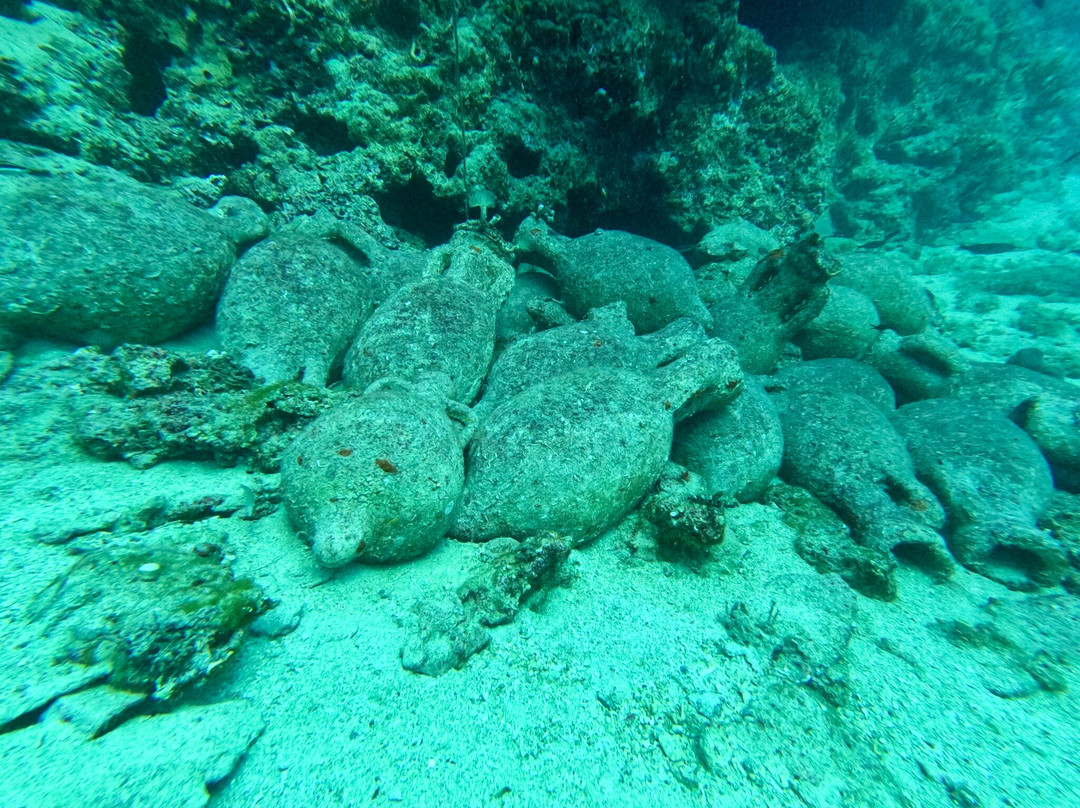 Black Pearl Diving Center Jelsa-Vrboska必去景点