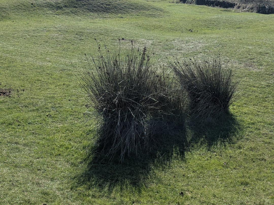Royal North Devon Golf Club-Westward Ho!必去景点