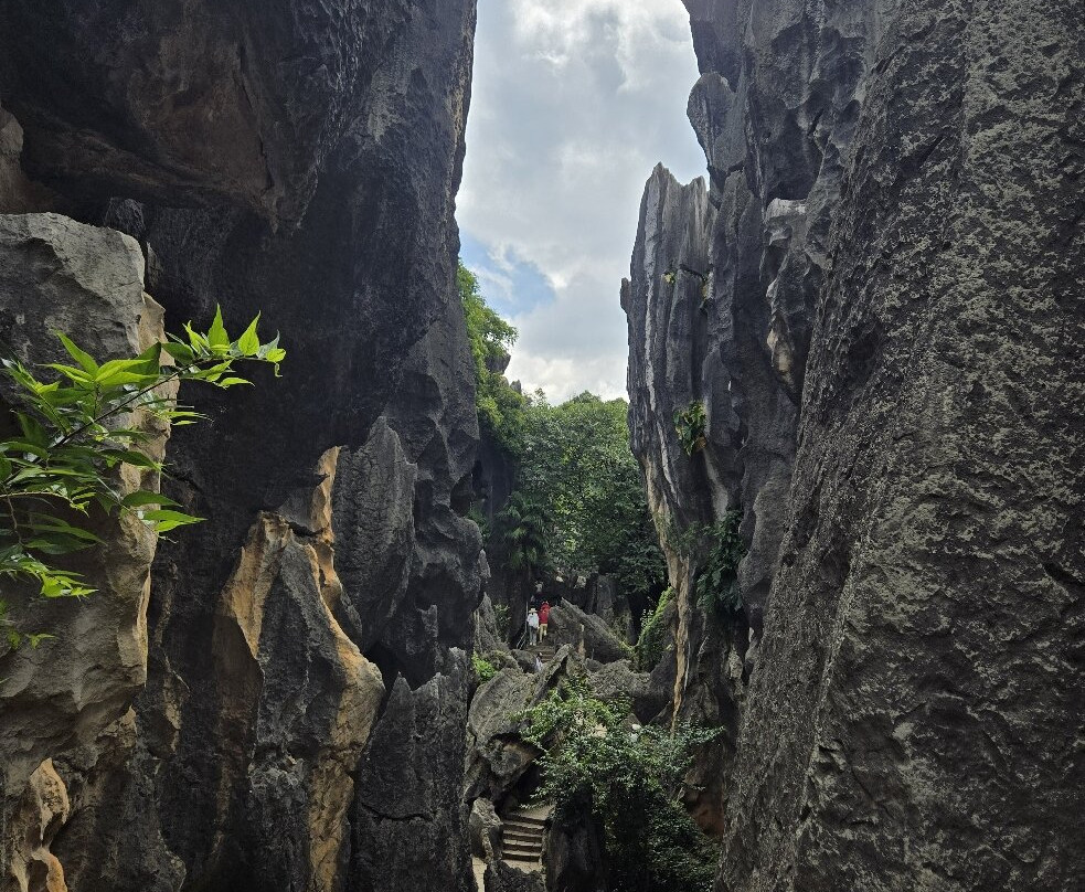 石林风景区-石林彝族自治县必去景点
