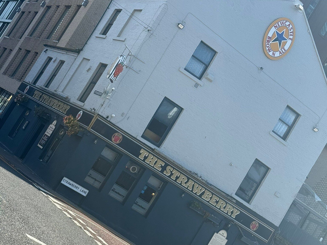 The Strawberry-纽卡斯尔必去景点