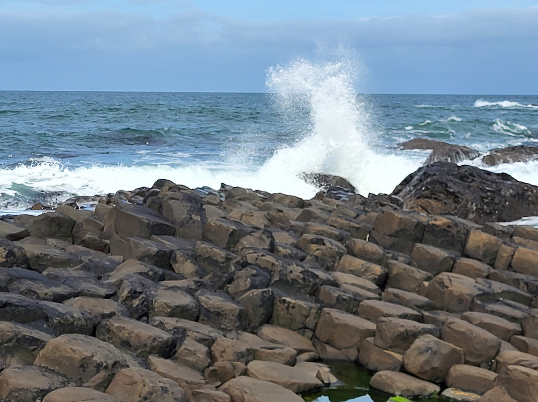 Tara Tours Ireland-都柏林必去景点