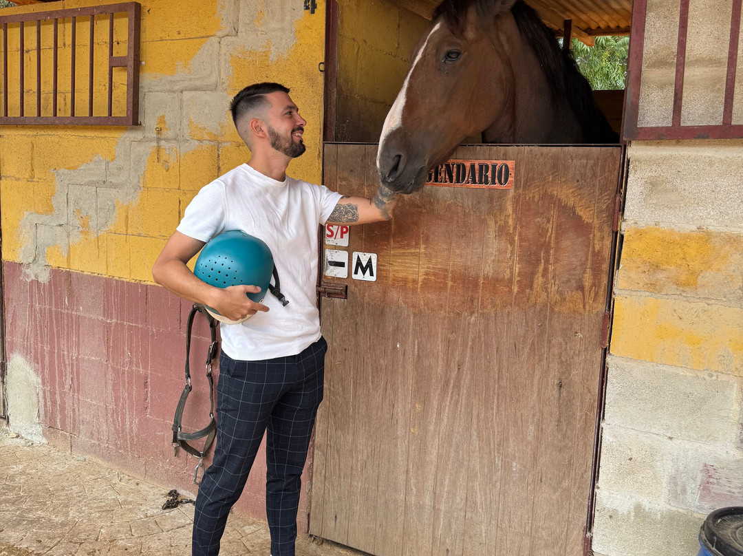 Centro Ecuestre Entrepinares-塞维利亚必去景点