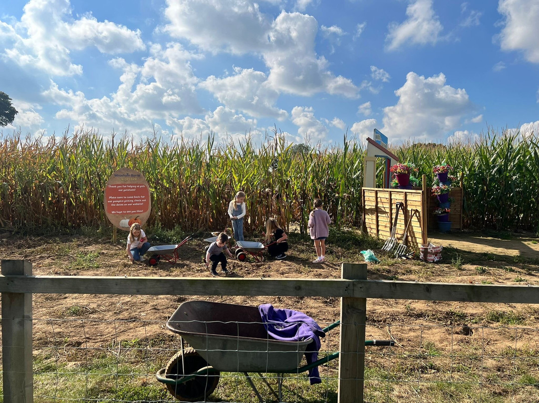 Wroxham Barns-Hoveton必去景点