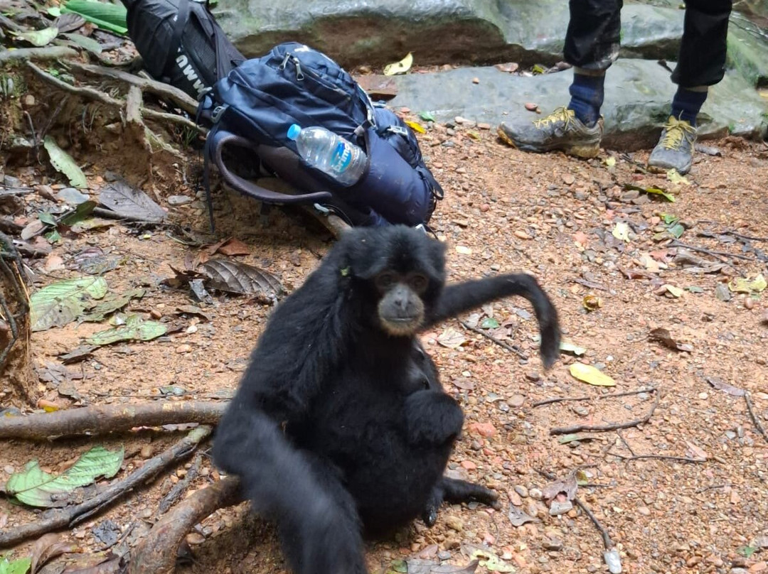 EcoTravel Bukit Lawang - Tours & Treks-武吉拉旺必去景点